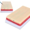 SKUMOD IV Injectable Training Pad Model,4 Veins and 3 Skin