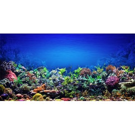MIRRORANG 61 x 30 cm Aquarium Background Coral Underwater World Aquarium Poster Background Vinyl Background