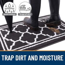 Buganda Indoor Door Mat, Resist Dirt and Absorbent Entrance Mat, Anti-Slip, Low Profile Inside Floor Mat Doormat for Entryway (48x32 inches, Dark Grey)