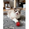 HEUHAI 15-Piece Cat Toy Set, Safe & Sturdy (1.5'' -