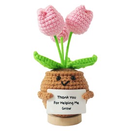 Kinretixia Lucky Charm Thank You Gift Knitted Tulips Flowers, Small Thank You Gift for Friends, Colleagues and Family, Positive Pocket Hug Potato for Women Men