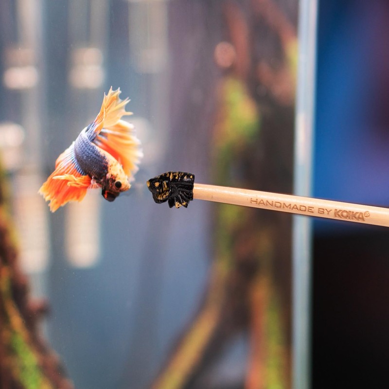 KOIKA Fish Training Stick Toys Fish Tank Decor Betta Training