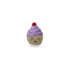PetSport Tiny Tots, Happy Birthday Cupcake