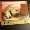 Vtg Christmas Card UNUSED Labrador Retriever Puppy Sleeping Golf Balls