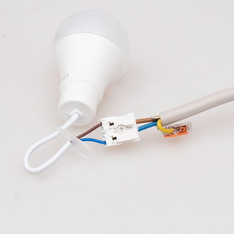 LED's light 2900062 Renovation Lamp with Plug-In Terminal 10 W