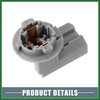 Motoforti License Number Plate Lamp Light Socket Number Plate Lamp