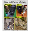 Caterpy RUN - Ultimate No Tie Shoelaces for Adults &