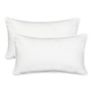 Home Beyond & HB design 2-Pack Velvet Throw Pillow Covers,