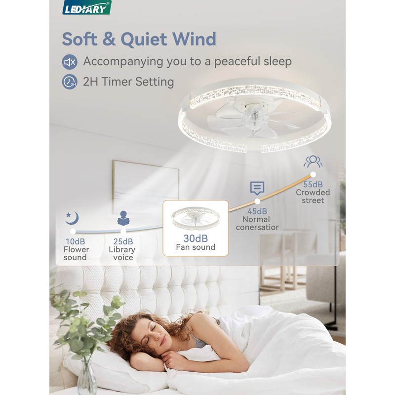 LEDIARY Flush Mount Ceiling Fan with Lights and Remote, 19.7''
