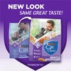Purina Cat Chow Gentle Sensitive Stomach and Skin Dry Cat