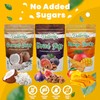 Dried Fruit Mix no Sugar Added- Organic Dried Fruit Mix-