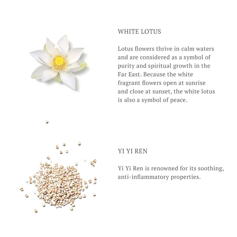 RITUALS The Ritual of Dao Nourishing Conditioner 200ml