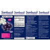 Sambucol Black Elderberry For Kids