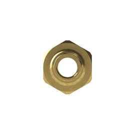 RIEGLER MS2391406 Screw-in Hose Nozzle with Male Thread Cylindrical for Hose LW 6 mm Brass CW614N, SW 17, G 1/4 Inch