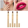 3pcs Gold Retractable Lip Brush Portable Soft Hair Double Ended