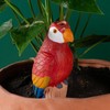 Plant Watering Spikes - Parrot Terracotta Watering Spikes | Automatic