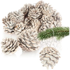 COM-FOUR® 30 x Pendants Pine Cones in White - Pine Cones as Christmas Decoration - Cones Decoration for Hanging - Craft Set - Christmas Decoration (30 Cones - White)