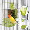 No Mess Bird Feeder Vegetable Dispenser Automatic Parrot Feeders with