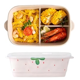 Ceramic Lunch Box, Divided and Covered Lunch Box with Good Leak Proof Sealing Performance, Reusable, Very Suitable for use in The Office, Picnic, Short Trip or Cycling