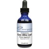 Energetix Core Olive Leaf (2 oz.)