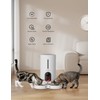 WOPET Automatic Cat Feeder with Camera for Two Cats, 6L