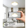 hepside 1PACK Flush Mount LED Ceiling Light Fixture Golden, 12Inch