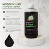 Shampoo De Órgano & Nogal Oscurecedor Natural Productos Mart Mexico