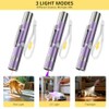 Cat Toy, Distinctive Purple Painted Metal Casing with Paw Print