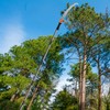 Walensee Pole Saws for Tree Trimming 7.7 FT Lightweight Manual