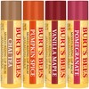 Burts Bees 100% Natural Moisturizing Lip Balm, Winter Variety Pack,