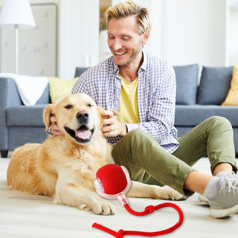 Twinsun Chewie Viral Rolling Ball - Interactive 360° Smart Automatic