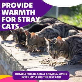 8-Pack Whisker Fatigue Cat Bowls – 5.5" Wide Shallow Food Dishes for Feral Cats, Kittens, Ferrets & Short-Legged Breeds – Eco-Friendly Wheat Straw, Perfect for Wet/Dry Food – 4 Color Options