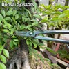vouiu 6-Piece Bonsai Tool Set,Concave Cutter,Knob Cutter,Jin Pliers,Wire Cutter,Bonsai Scissors,