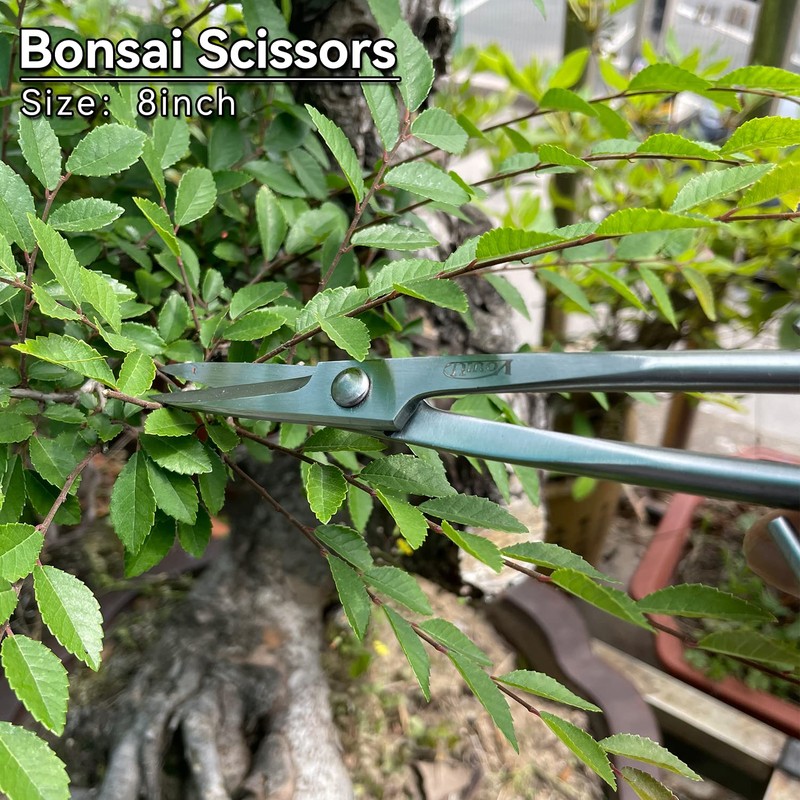 vouiu 6-Piece Bonsai Tool Set,Concave Cutter,Knob Cutter,Jin Pliers,Wire Cutter,Bonsai Scissors,