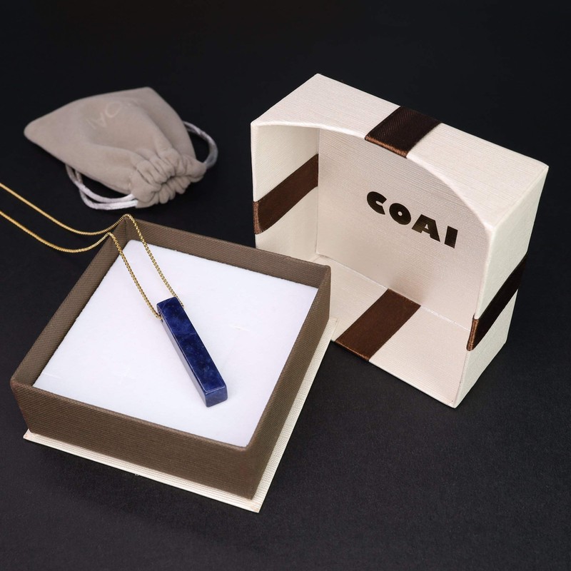 COAI Stainless Steel Box Chain Sodalite Blue Stone Necklace for