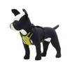 Canine Friendly - Arnés para Chaleco con ventilación, tamaño Grande,