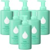 Safely Foaming Hand Soap 10oz Rise - 6 pack