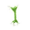GIANTmicrobes Nerve Cell Plush – Learn About Your Nervous System