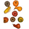 Fall Harvest Decorative Gourd Set of 9, Artificial Pumpkins and
