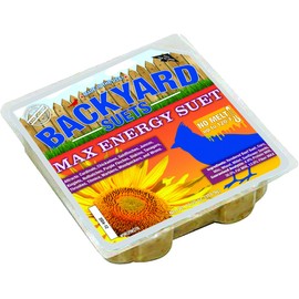 Backyard Seeds No Melt Max Energy Premium Suet Cakes 12 Pack