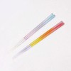 Ishida 63176-1 Capi Gift Tropical Blue x Pink Chopsticks Rest