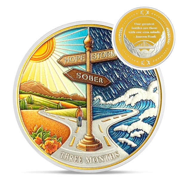 Hope Signpost 3 Month Sobriety Coin - Reborn from Storm