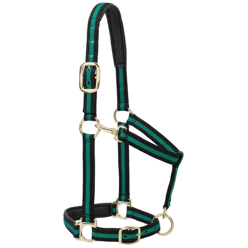 Weaver Leather Padded Adjustable Nylon Horse Halter, Blue, 1" Small