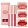 KARLOR Liquid Lipstick Set, 3 Pieces Matte Lipstick Pink Peach
