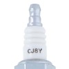 Maruyamaseisakusyo Spark Plug Champion Spark Plug CJ8Y 4966328012056 Depth 2.1cm