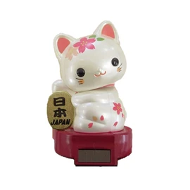 Solar Baby Cat Cherry Blossom Japan
