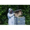 Wild Raspberry Honey - 8 oz, Made in Maine, Organic,