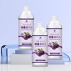 푸룬 유산균 비움 플러스 3병 Prune Probiotic Bium Plus 3