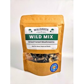 Dried Wild Mushrooms Mix