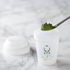 Den's Tea] Matcha Mini Shaker